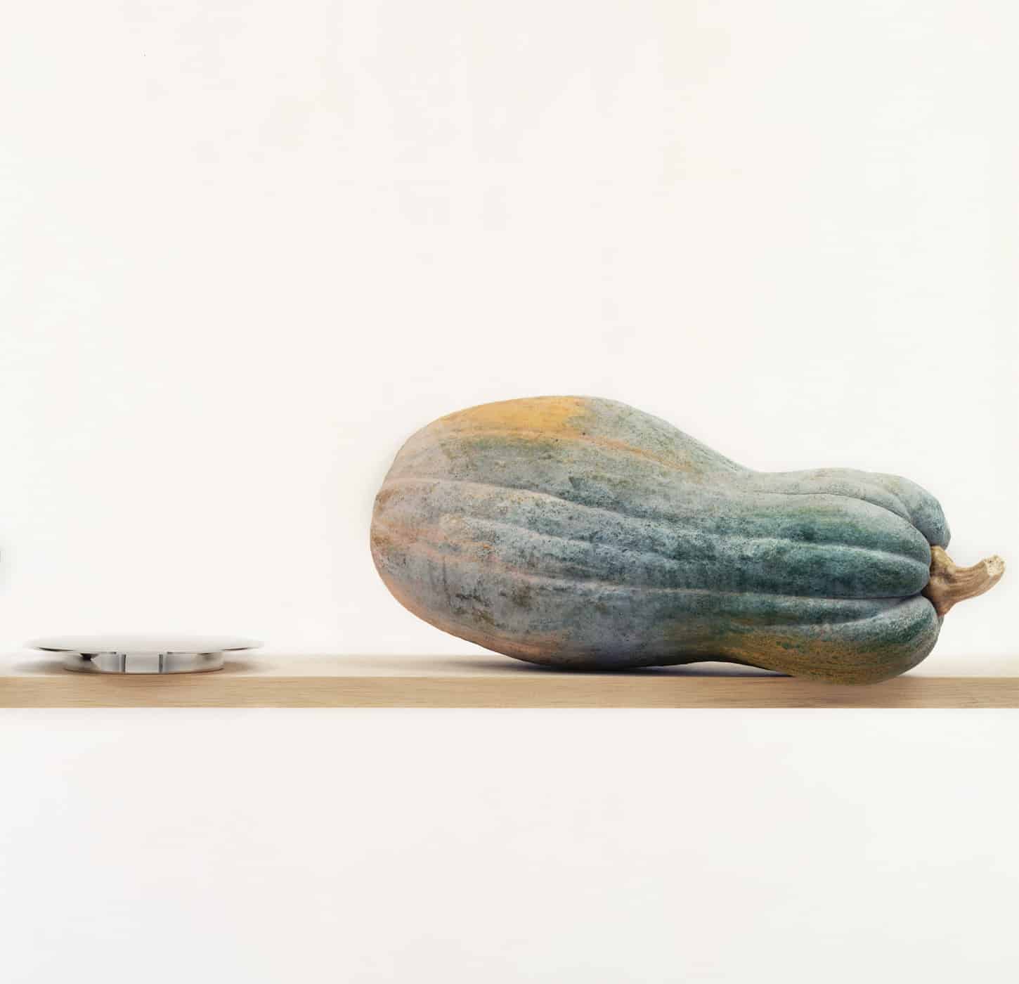 Bread plate from Dinner Service collection on a shelf standing next to a butternut lying on side